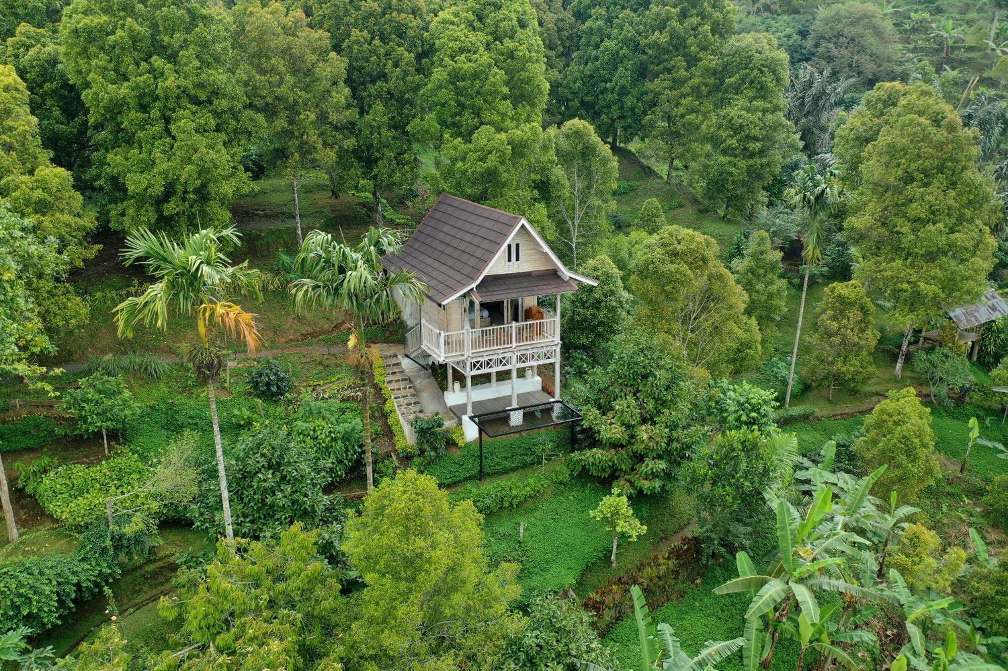 Garden Terrace Bali Bed & Breakfast Gobleg  Exterior photo