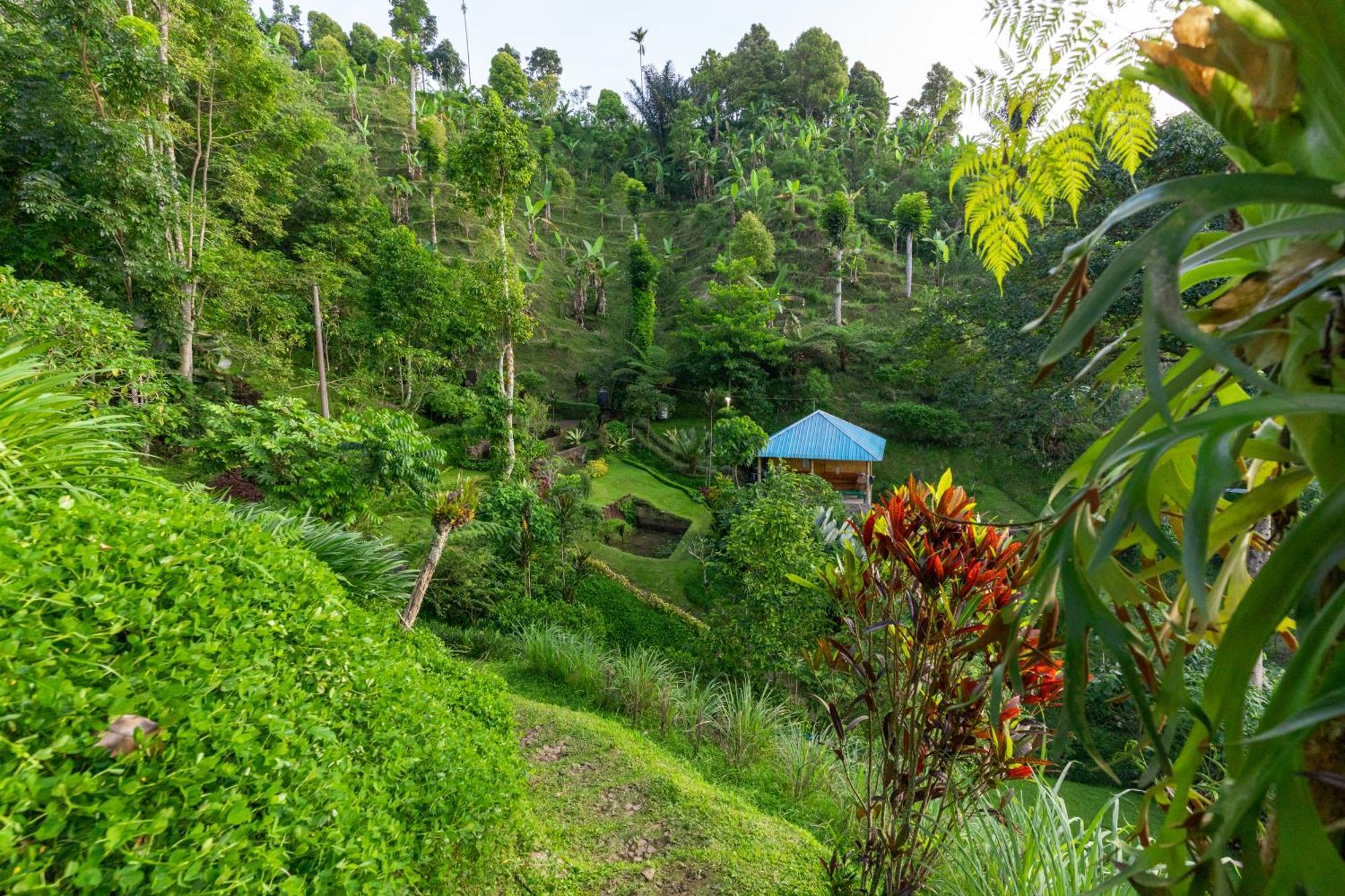 Garden Terrace Bali Bed & Breakfast Gobleg  Exterior photo